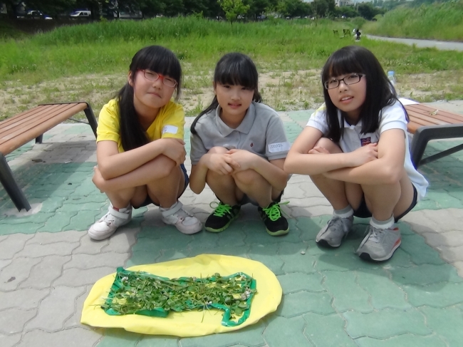 2013 세내플랫폼 섬네일 파일