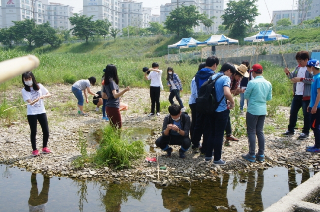 2015년 토요문화학교 '온새미로' 블루길 낚시 섬네일 파일
