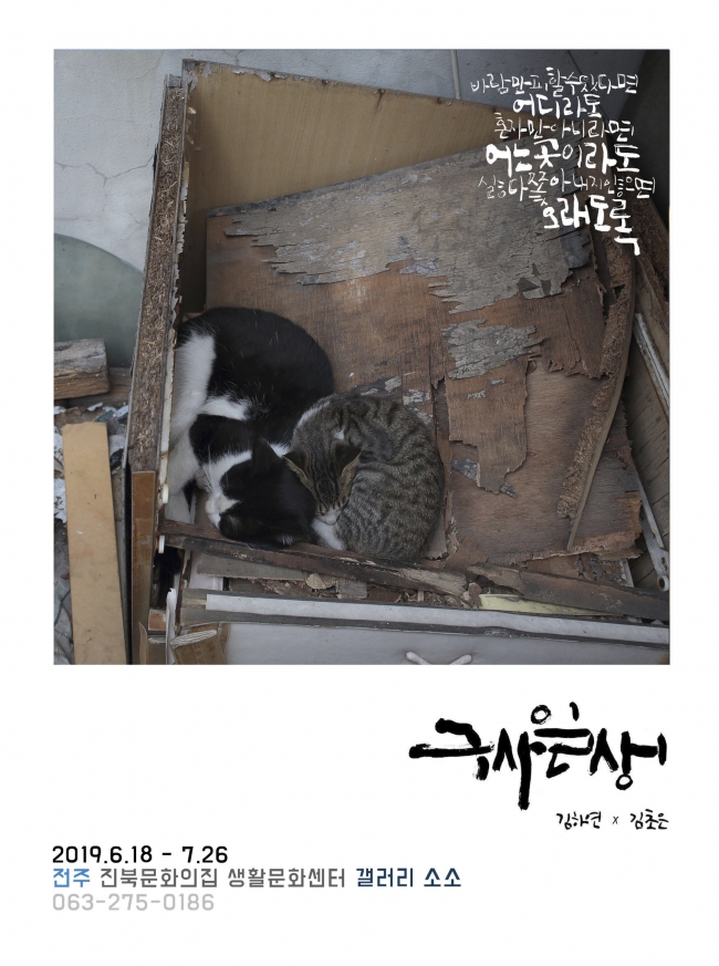 190618 길고양이사진전 '구사일생' 개최 섬네일 파일